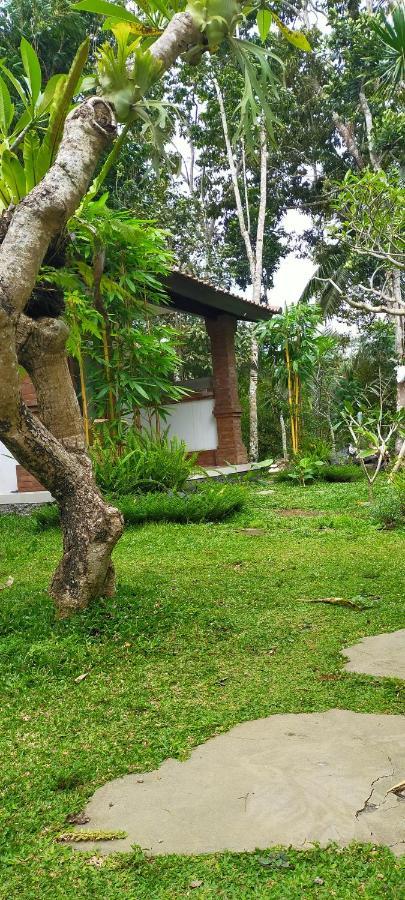 Tangkas House Apartment Tampaksiring Bagian luar foto